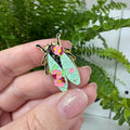 "Der Käfer" – Masu Pin