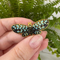 "Schmetterling" – Masu Pin